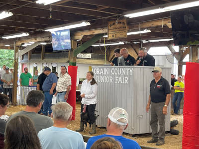 Small Animal Auction